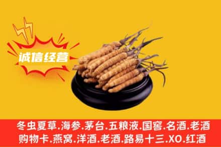 阜新回收冬虫夏草